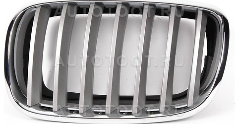 Решетка радиатора левая (хром, серая) -   для BMW X5, BMW X6