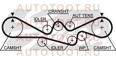 Ремень ГРМ SUBARU FORESTER SF/SG 98-05/IMPREZA GC/GD/GG/GF 98-05 SOCH 5537xs gates – купить в Омске. Цены, характеристики, фото в интернет-магазине autotoot.ru