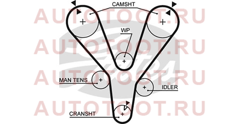 Ремень ГРМ HYUNDAI SONATA/TRAJET/KIA MAGENTISUZU 2,5/2,7 98- 5555xs gates – купить в Омске. Цены, характеристики, фото в интернет-магазине autotoot.ru