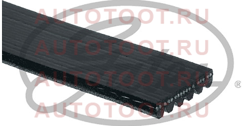 Ремень поликлин TOYOTA 2UZ-FE UZJ100 LX470 98-02 (ALT) 6pk2203 gates – купить в Омске. Цены, характеристики, фото в интернет-магазине autotoot.ru