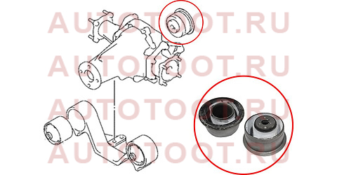 Сайлентблок заднего дифференциала SUZUKI GRAND VITARA/ESCUDO 06-14 st2756166j01 sat – купить в Омске. Цены, характеристики, фото в интернет-магазине autotoot.ru
