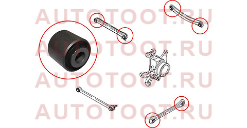 Сайлентблок задней тяги SSANG YONG KYRON 05-12/NEW ACTION 10-13/REXTON 02-12/SUZUKI GRAND VITARA/ESC st4540121000b sat – купить в Омске. Цены, характеристики, фото в интернет-магазине autotoot.ru