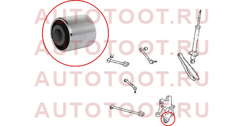 Сайлентблок заднего продольного рычага (цапфы) TOYOTA MARK X 04/CROWN 08-12/CROWN MAJESTA 09-/LEXUS st487260n010 sat – купить в Омске. Цены, характеристики, фото в интернет-магазине autotoot.ru