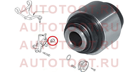 Сайлентблок задней цапфы (плавающий) HYUNDAI SANTA FE (CM) 2006-2012 st551304d000 sat – купить в Омске. Цены, характеристики, фото в интернет-магазине autotoot.ru