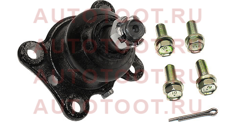 Шаровая нижняя FR LH=RH TOYOTA Surf 89-99 43340-39245 toyota – купить в Омске. Цены, характеристики, фото в интернет-магазине autotoot.ru