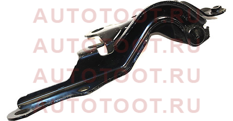 Петля капота TOYOTA SIENTA 03- LH 53420-52131 toyota – купить в Омске. Цены, характеристики, фото в интернет-магазине autotoot.ru
