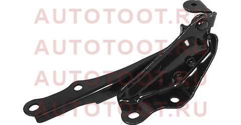 Петля капота TOYOTA LAND CRUISER 200/LEXUS LX570 07-15 LH 5342060190 Toyota – купить в Омске. Цены, характеристики, фото в интернет-магазине autotoot.ru