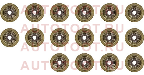Комплект маслосъёмных колпачков CITROEN/PEUGEOT/BMW 1(F20)/(F21)/C3/C4/C5/207/308 5F4/5FY/5FD/5FV/N1 123762101 victor%20reinz – купить в Омске. Цены, характеристики, фото в интернет-магазине autotoot.ru