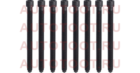 Болт ГБЦ комплект VAG 4/A6/PASSAT AML/AGA/BDV/AMX 143212502 victor%20reinz – купить в Омске. Цены, характеристики, фото в интернет-магазине autotoot.ru