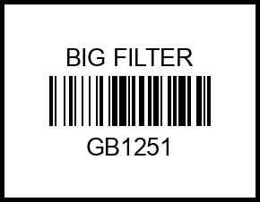 (центрифуга) RENAULT TRUCKS Kerax 01-14, Magnum 00-05, МАЗ Евро 3 gb1251 big%20filter – купить в Омске. Цены, характеристики, фото в интернет-магазине autotoot.ru