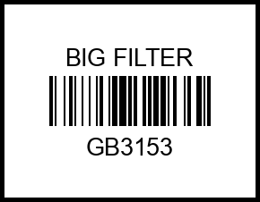 Фильтр топливный GB-3153 gb3153 big%20filter – купить в Омске. Цены, характеристики, фото в интернет-магазине autotoot.ru