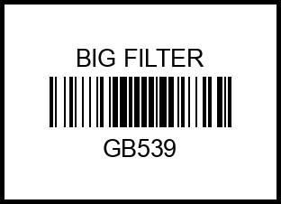 Фильтр воздушный BIG FILTER GB539 /GB539GROUP/ (круглый) AUDI A6 2.4-4.2L 04-11, Allroad II 06- GB-539 gb539 big%20filter – купить в Омске. Цены, характеристики, фото в интернет-магазине autotoot.ru