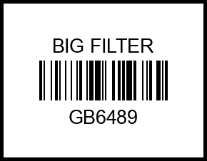 Фильтр топливный gb6489 big%20filter – купить в Омске. Цены, характеристики, фото в интернет-магазине autotoot.ru