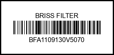Фильтр воздушный BRISS FILTER 11091-30V5070 JAC J7, JAC JS4, МОСКВИЧ 3 HFC4GB2.4E, HFC4GB24D bfa1109130v5070 briss%20filter – купить в Омске. Цены, характеристики, фото в интернет-магазине autotoot.ru