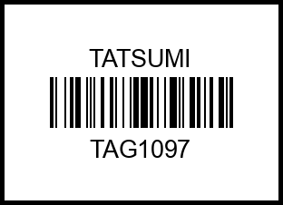 VW Passat 94-> tag1097 tatsumi – купить в Омске. Цены, характеристики, фото в интернет-магазине autotoot.ru