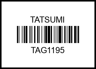 VW Transporter V 03-> tag1195 tatsumi – купить в Омске. Цены, характеристики, фото в интернет-магазине autotoot.ru
