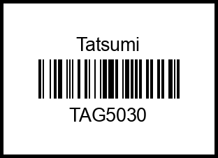 Подшипник опоры амортизационной стойки tag5030 tatsumi – купить в Омске. Цены, характеристики, фото в интернет-магазине autotoot.ru