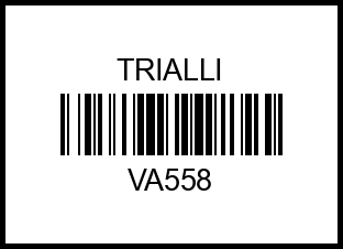 VA558 TRIALLI Усилитель тормозов вакуумный ВАЗ 2108 VA558 va558 trialli – купить в Омске. Цены, характеристики, фото в интернет-магазине autotoot.ru